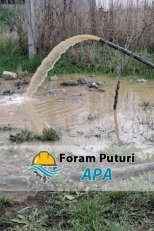 Curatari fantani