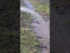 Forare put de mica adancime urmat de denisipare si limpezire | Foram puturi in toata Romania