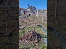 Limpezire apa din foraje puturi, foraje puturi de mica adancime, apa din pamantul Romaniei